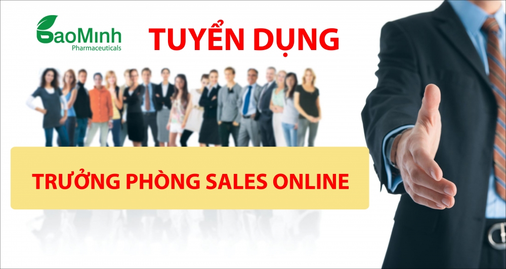 Bảo Minh tuyển trưởng phòng sales online