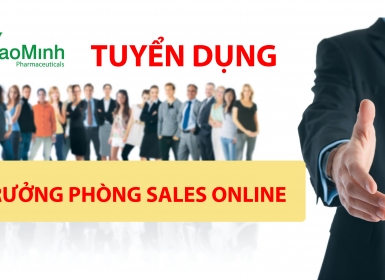 Bảo Minh tuyển trưởng phòng sales online